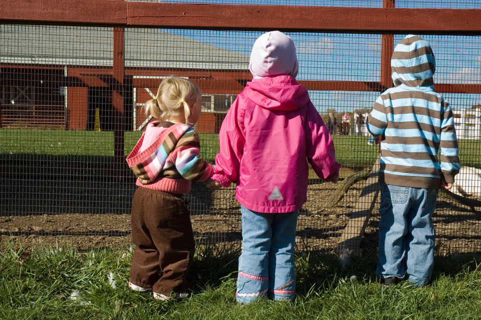 Maya, Sophia, And Ryan Looking Through The Fence