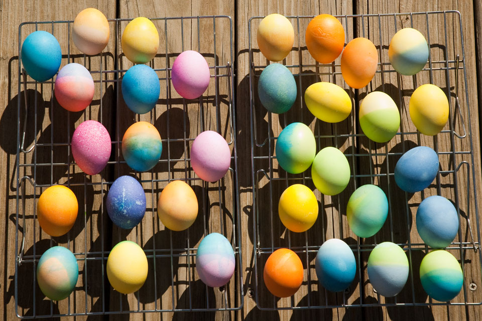 Our Colorful Eggs