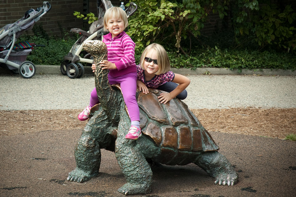 Turtle Ride At The Detroit Zoo